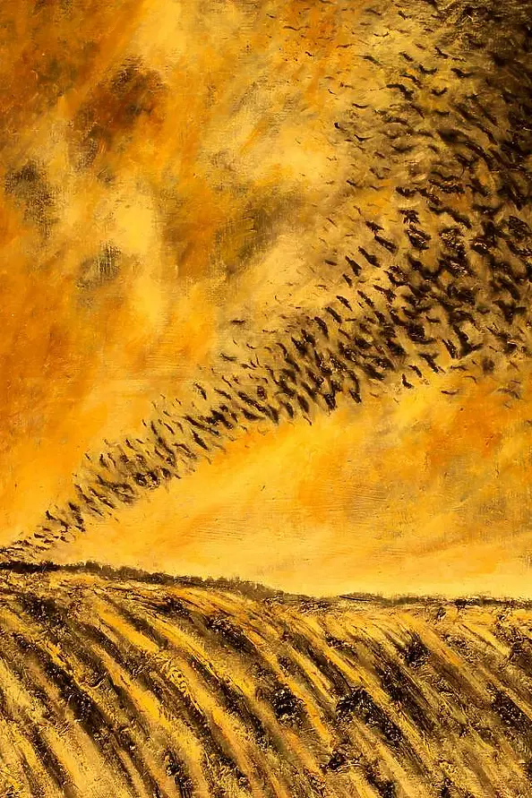 Robert Bareja - Wrony