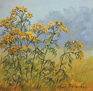 Sabina Salamon, Tansy meadow, Oil painting - canvas, 30 x 30
