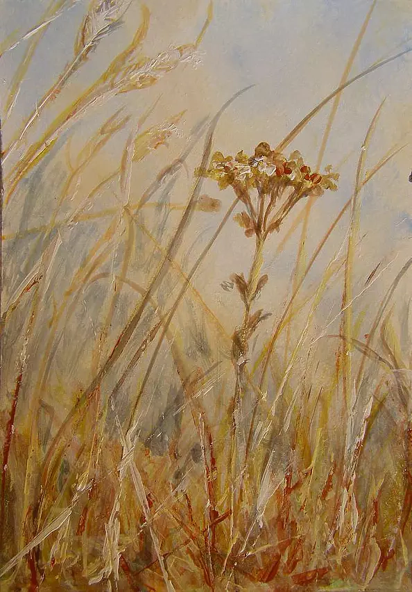 Małgorzata Lesisz - Tansy late autumn