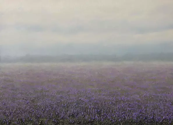 Dariusz Król - Wrzosowisko.