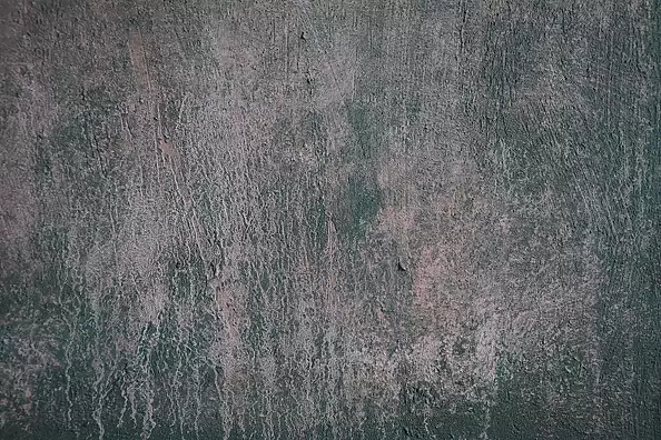 Kamila Ossowska - Moor