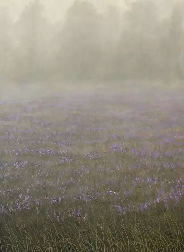 Dariusz Król - Une lande dans le brouillard.