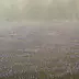 Dariusz Król - Une lande dans le brouillard.