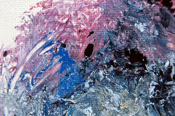 Amelia Augustyn - Wrzosy