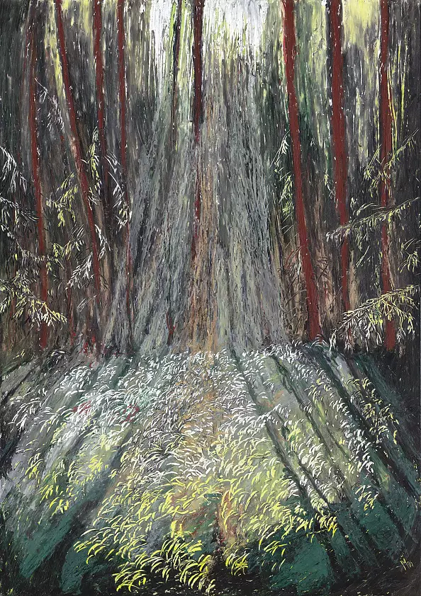 Angelika Mus Nowak - Forest objects pointed by the sun