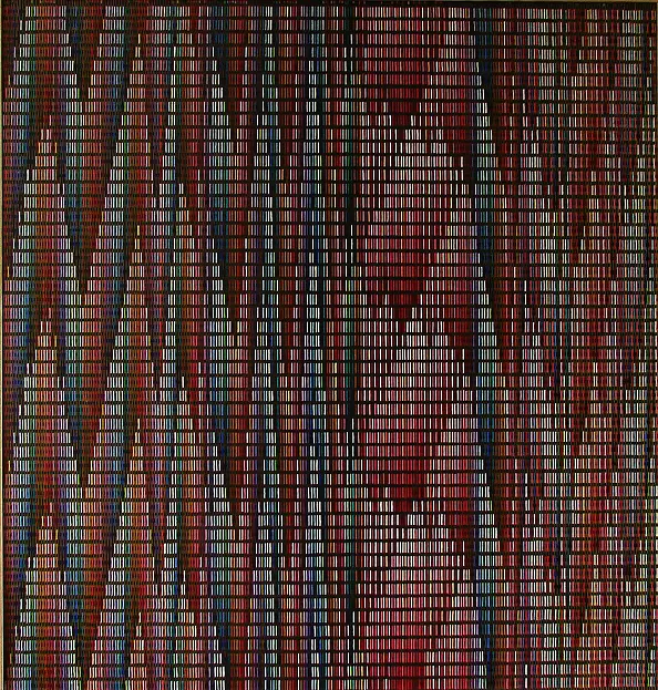 Andrzej Bator - Wspólne Szaleństwa