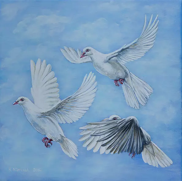 Katarzyna Niemczak - Wspólny lot