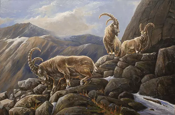 Michał Nowakowski - Wspomnienia z Kirgizji