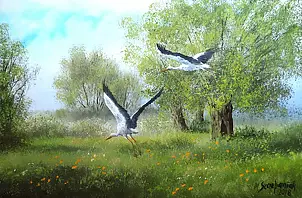 Marek Szczepaniak - Among the meadows