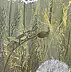 Luba Santkiewicz, Wśród majowych traw , Obraz akrylowy - płótno, 50 x 70