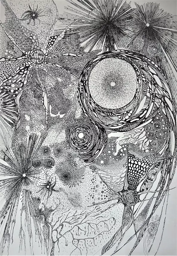 Alicja Wysocka - Universe