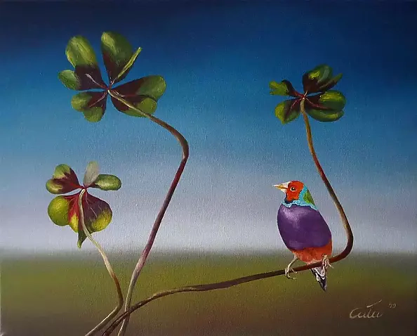 Olka Cała - Waiting for happiness