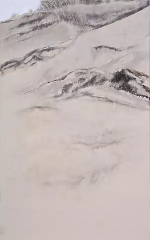 Małgorzata Bruss - Wydma