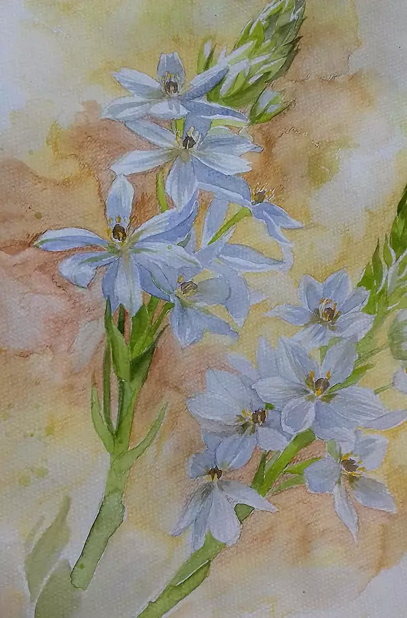 Dorota Kędzierska - Wyjęte z kontekstu