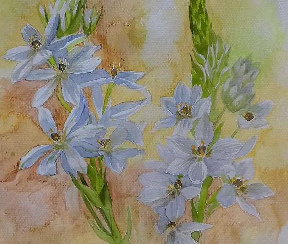 Dorota Kędzierska - Wyjęte z kontekstu