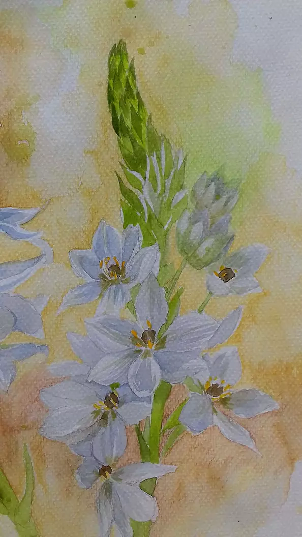 Dorota Kędzierska - Wyjęte z kontekstu