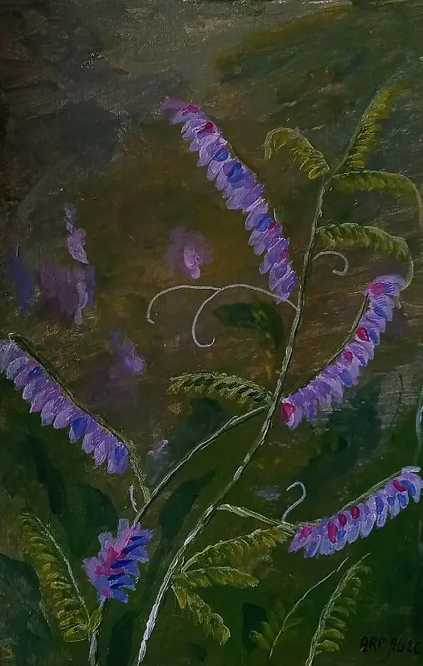 Agata Rak - Veccia al crepuscolo