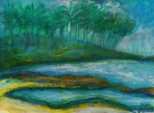 Marzena Salwowska - Cocos Island seen from Poland