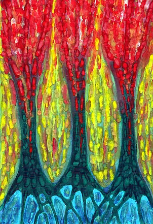 Wojtek Kowalski - Island Three Trees