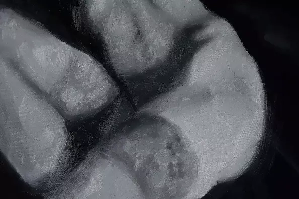 Kamila Ossowska - Rise