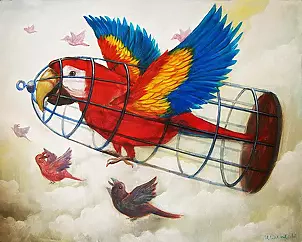 Maciej Wierzbicki - Wzlot