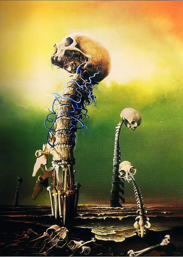 Zbigniew Hinc - growing transcendental