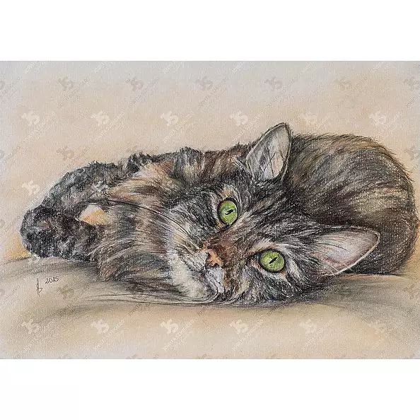 Jowita Szmigiero - Xenon