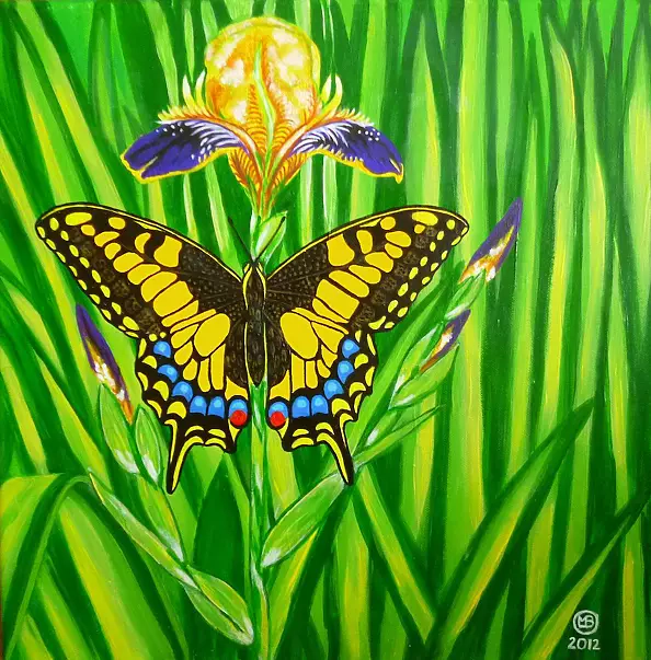 Marianna Małgorzata Bakanowicz - Yellow Beatka-2012