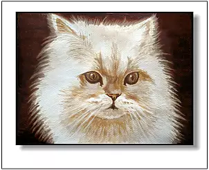 Jolanta Dusza - Yogi