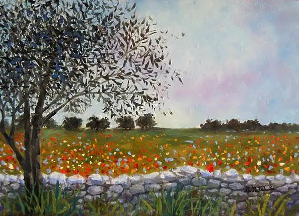 Luigina Patricola - Young olive tree and dry ledge