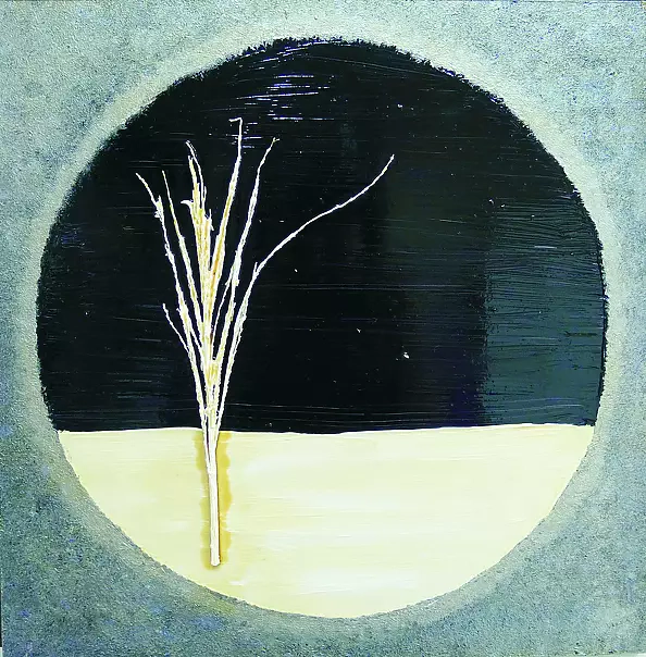 Krystyna Ciećwierska -  FOR WINDOW 1