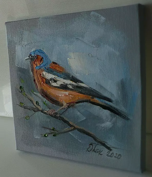 Dorota Łaz - ZIĘBA