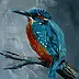 Dorota Łaz - KINGFISHER