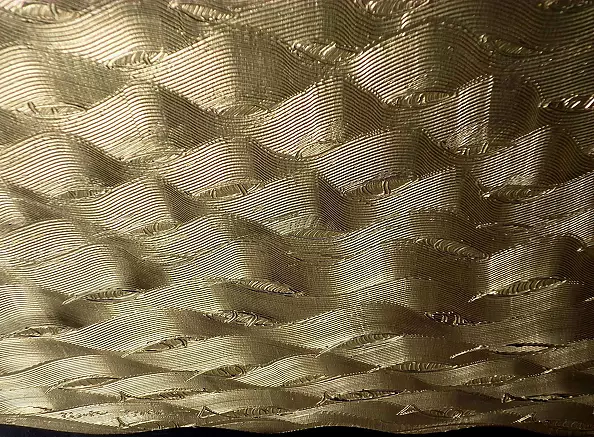 Łukasz Dziedzic - ZŁOTE RYBKI