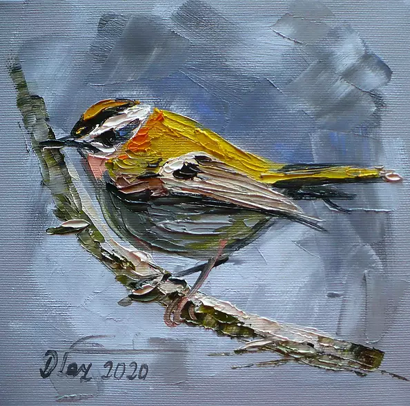 Dorota Łaz - ZNICZEK