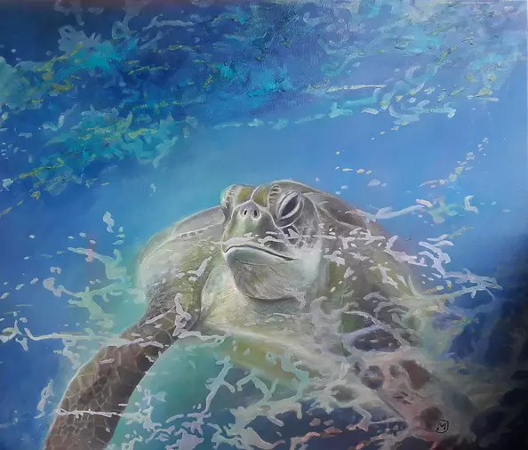 Małgorzata Jaroma - TURTLE