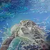Małgorzata Jaroma - TURTLE