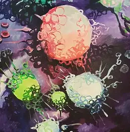Victoria Belmondi - VICTORY OF STEM CELLS