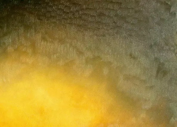 Łukasz Dziedzic - EARTH