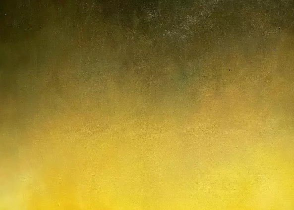 Łukasz Dziedzic - EARTH