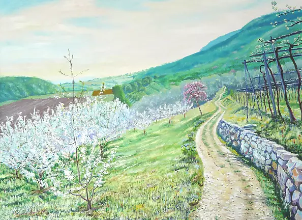 Eugenio Berti - In Lumignano to Casteger (VI); the trees czereśniowymi