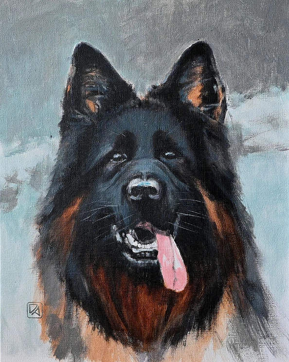 Agnieszka Długołęcka - From the "DOGS" series - German Shepherd