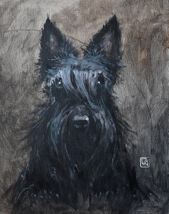 Agnieszka Długołęcka - Z cyklu "PSY" - terier szkocki