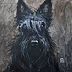 Agnieszka Długołęcka - Aus der Serie „DOGS“ - Scottish Terrier