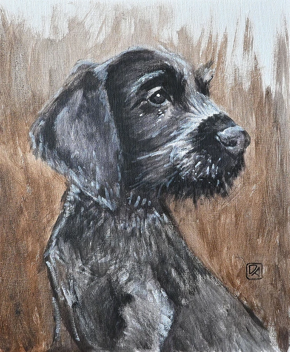 Agnieszka Długołęcka - From the "DOGS" series - German Wirehaired Pointer