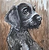 Agnieszka Długołęcka - From the "DOGS" series - German Wirehaired Pointer
