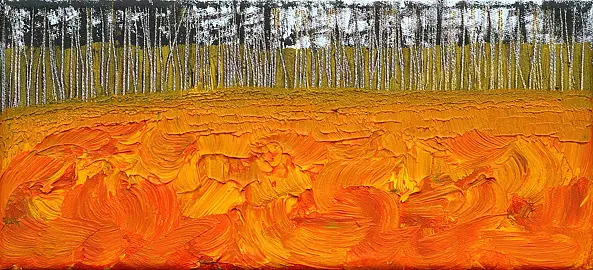 Anna Kordowicz Markuszewska - From the series: Disappearing 4 SEASONS 2014.