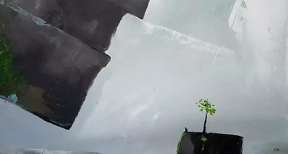 Andrzej Cybura - You can see better in advance