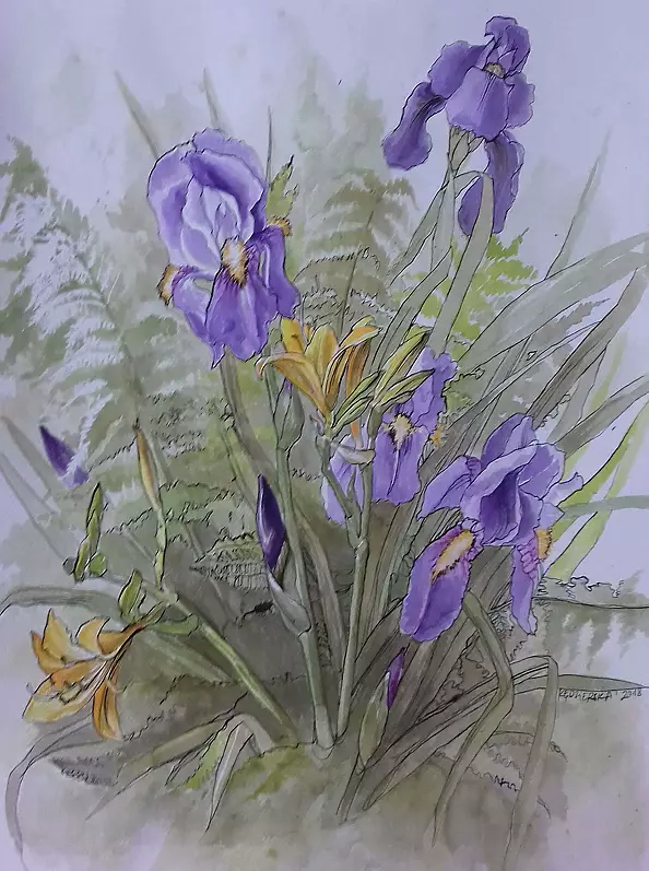 Dorota Kędzierska - From the garden