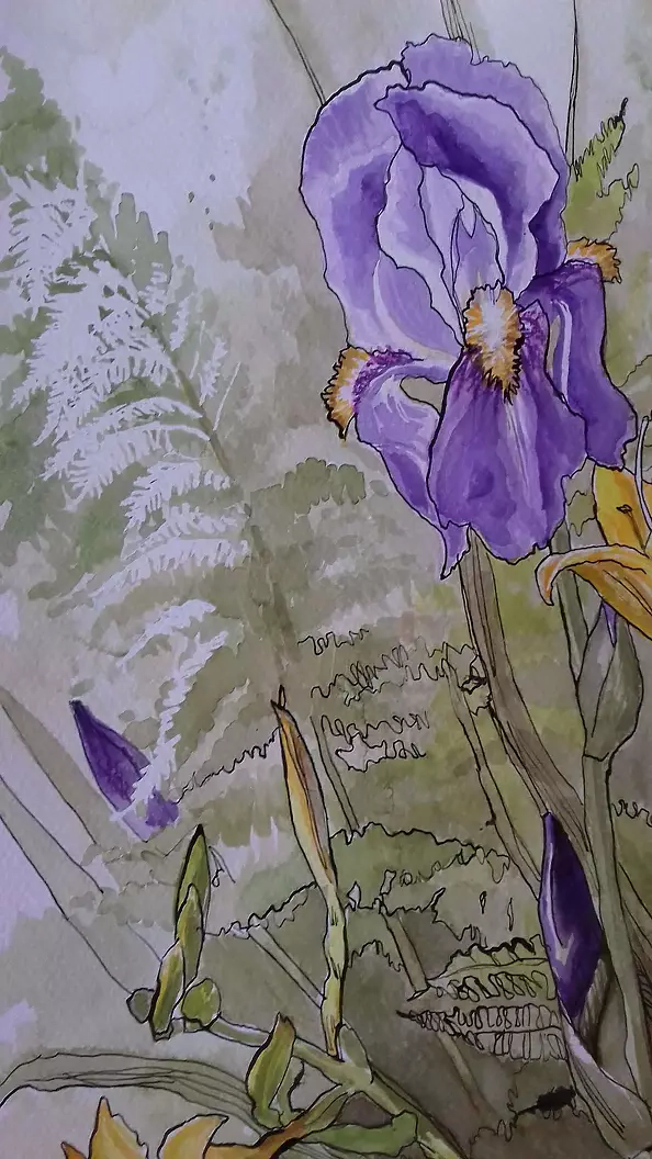 Dorota Kędzierska - From the garden